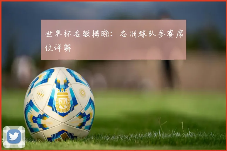 世界杯名额揭晓:各洲球队参赛席位详解