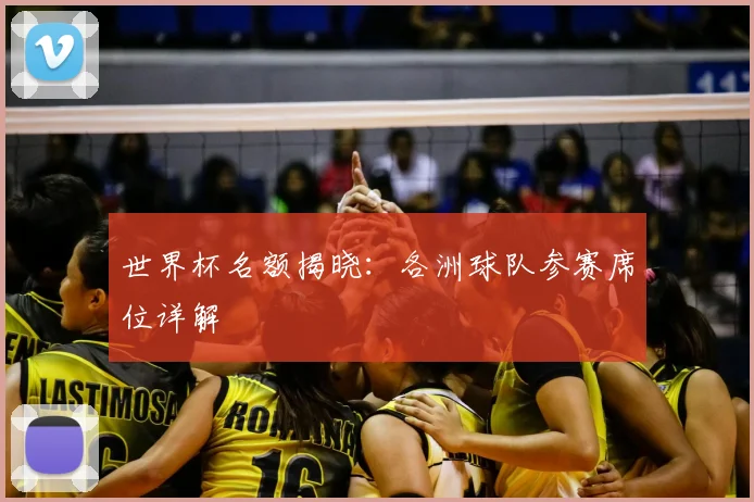 世界杯名额揭晓：各洲球队参赛席位详解